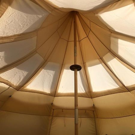 Stargazer Tent Met Sterrenuitzicht Callantsoog Eksteriør bilde